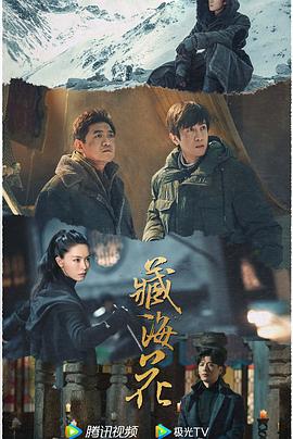 青青草在线在线观看 - 51黄瓜视频